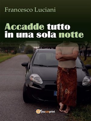 cover image of Accadde tutto in una sola notte
